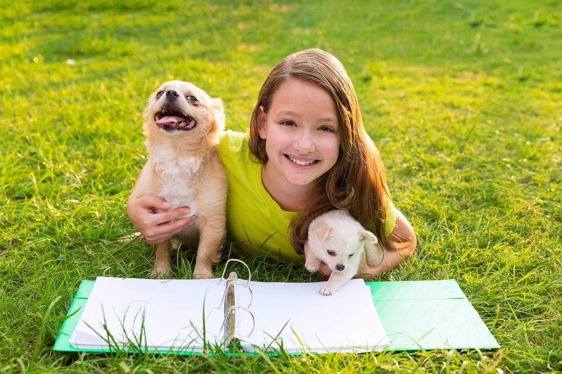 Kid Girl and Puppy Dog